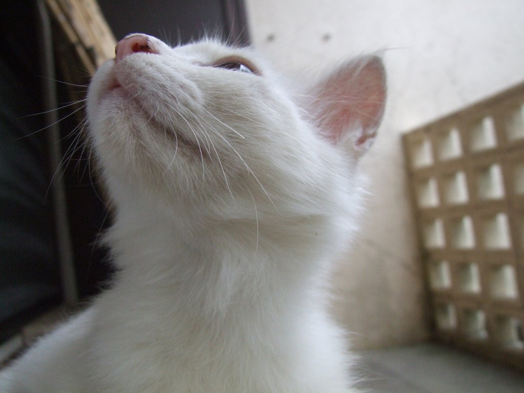 f:id:SQB:20140830152604j:image