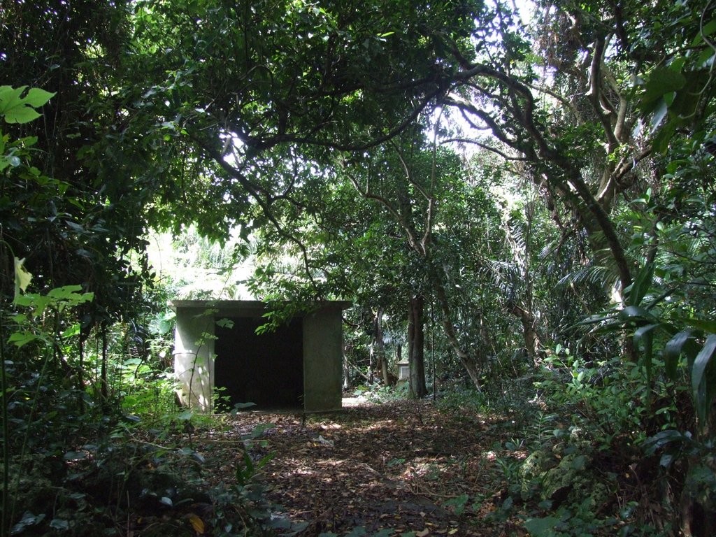 f:id:SQB:20140928172745j:image