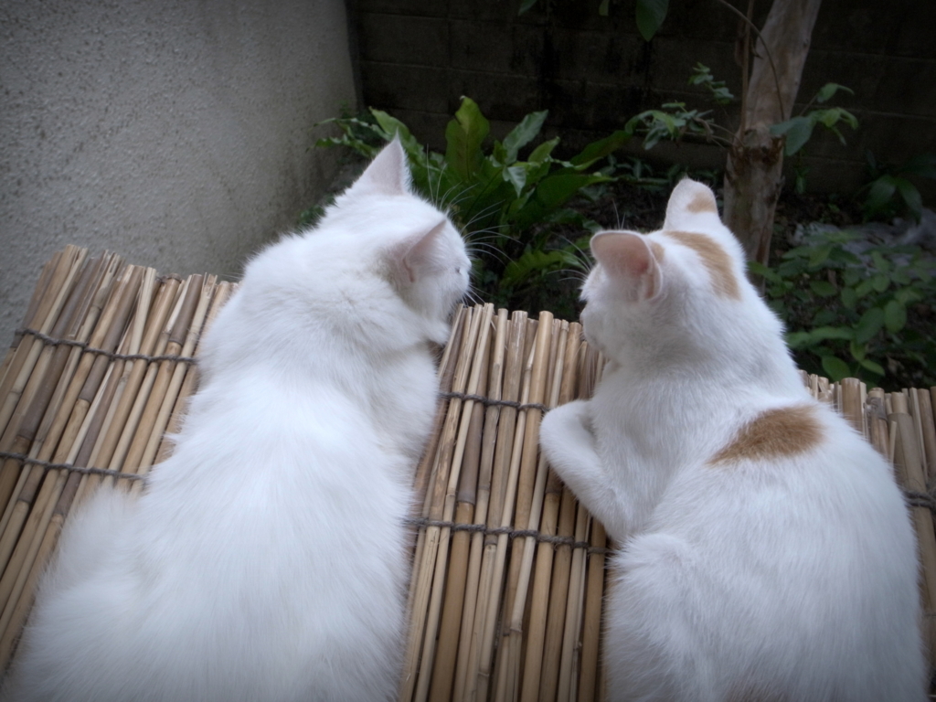 f:id:SQB:20141009145257j:image