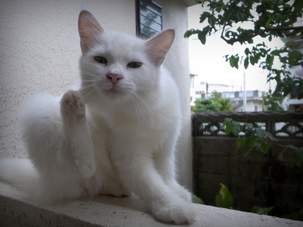 f:id:SQB:20141009145322j:image
