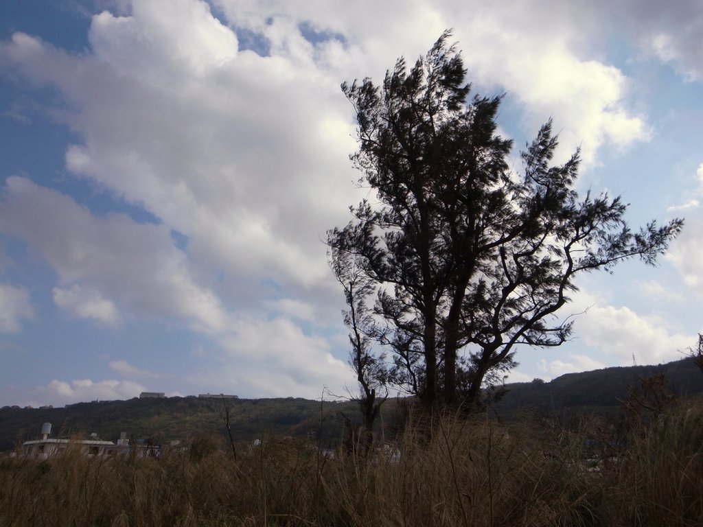f:id:SQB:20141019181244j:image