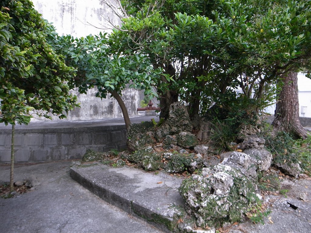 f:id:SQB:20141221205811j:image f:id:SQB:20141221205811j:image
