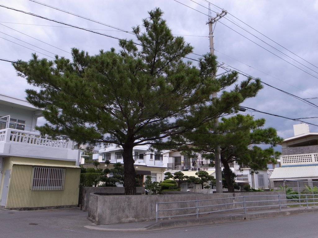 f:id:SQB:20150102193201j:image