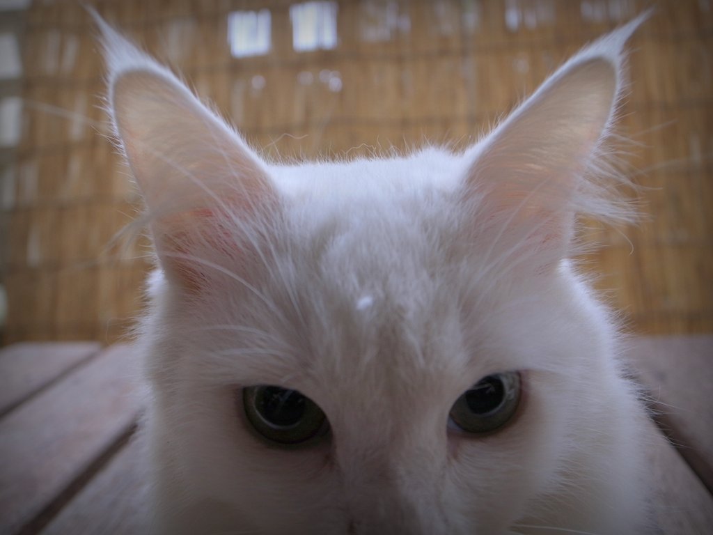 f:id:SQB:20150109123232j:image