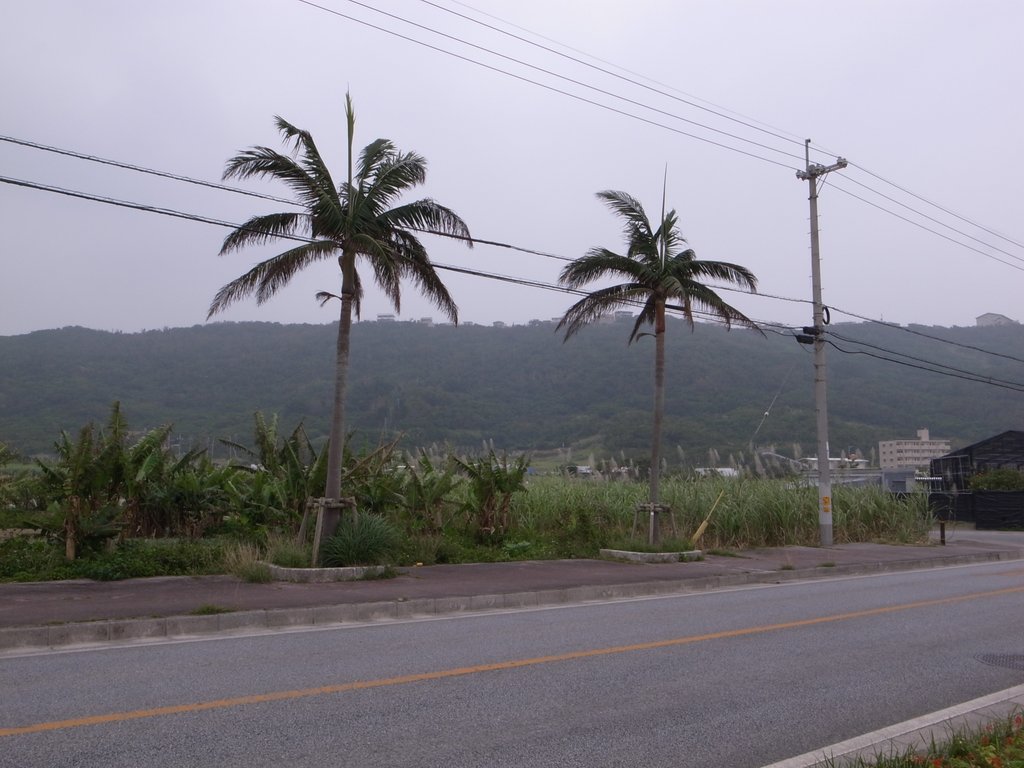 f:id:SQB:20150117173600j:image