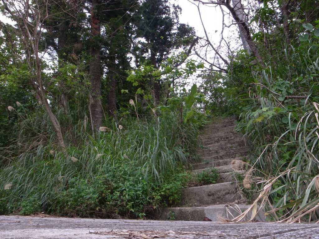 f:id:SQB:20150117173607j:image