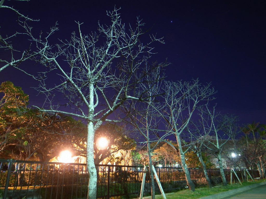 f:id:SQB:20150118234332j:image