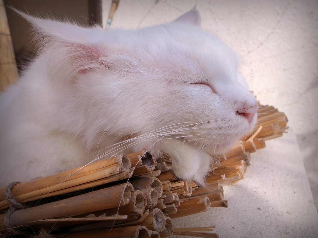 f:id:SQB:20150119184902j:image