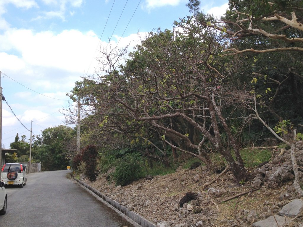 f:id:SQB:20150123193011j:image