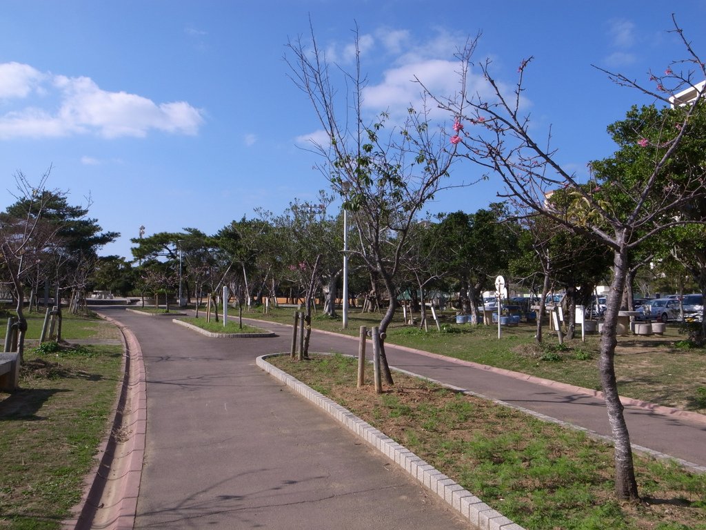 f:id:SQB:20150124191520j:image