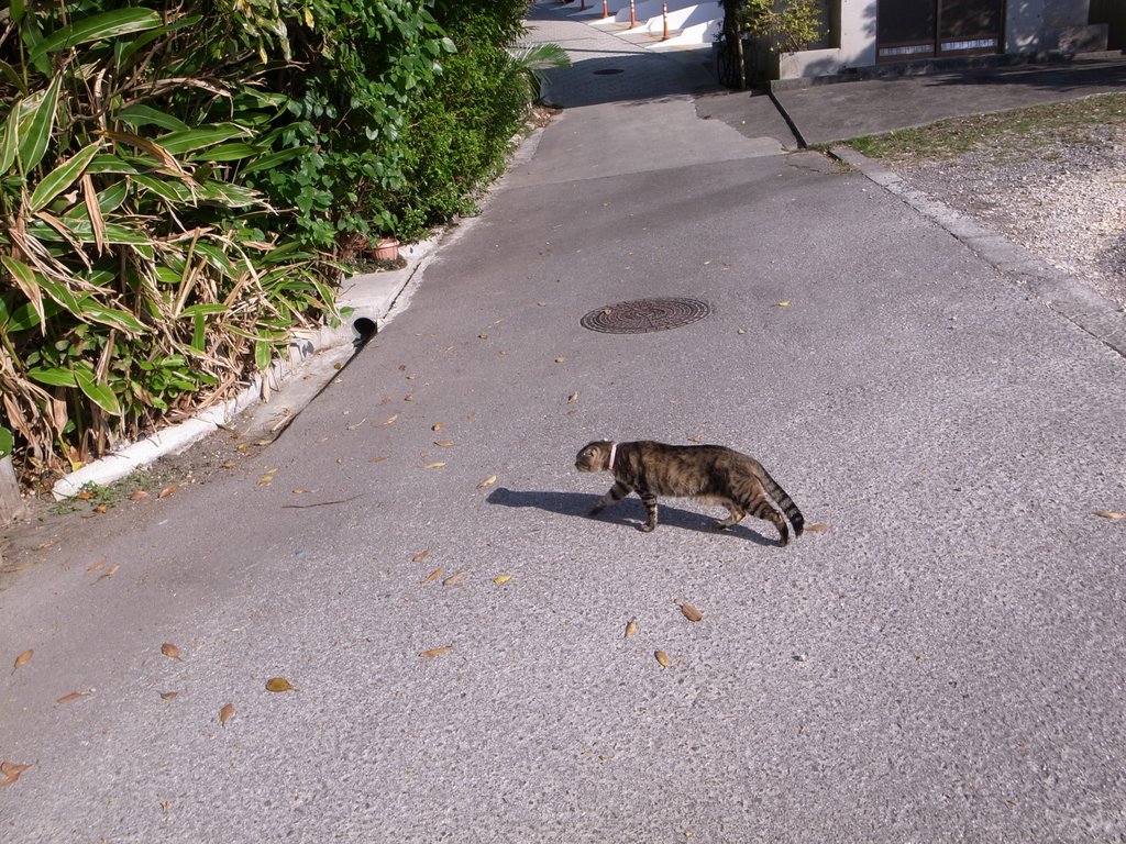f:id:SQB:20150124195115j:image