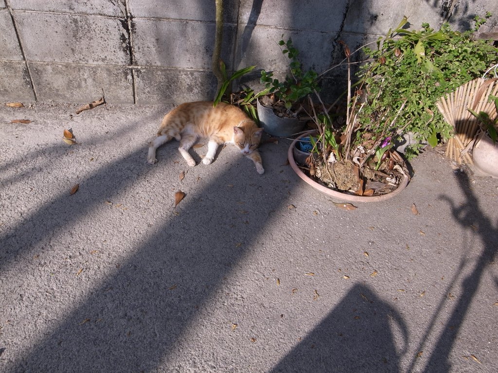 f:id:SQB:20150124195122j:image