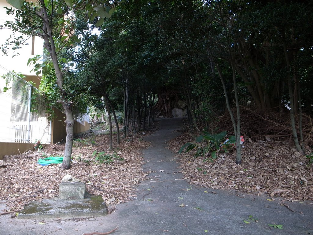 f:id:SQB:20150124200417j:image