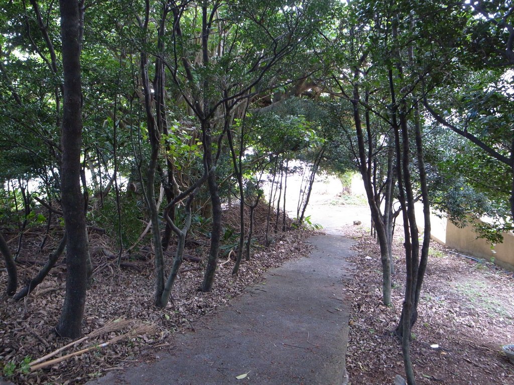 f:id:SQB:20150124200422j:image