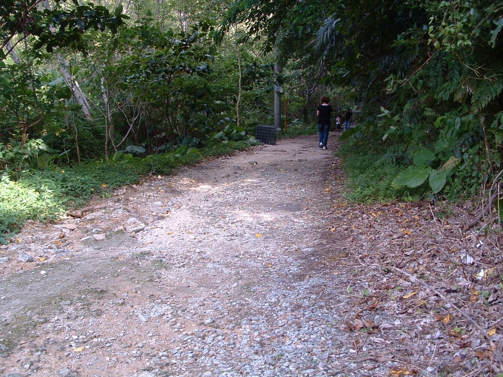 f:id:SQB:20150128145931j:image