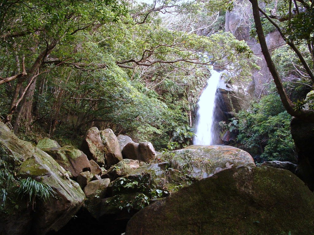 f:id:SQB:20150128145944j:image
