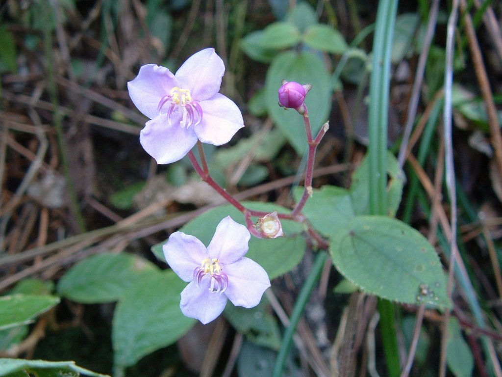 f:id:SQB:20150128150000j:image
