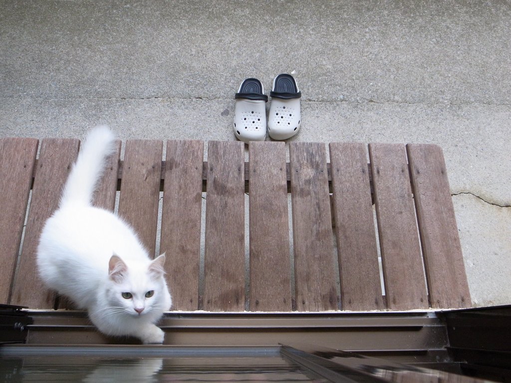 f:id:SQB:20150130140211j:image