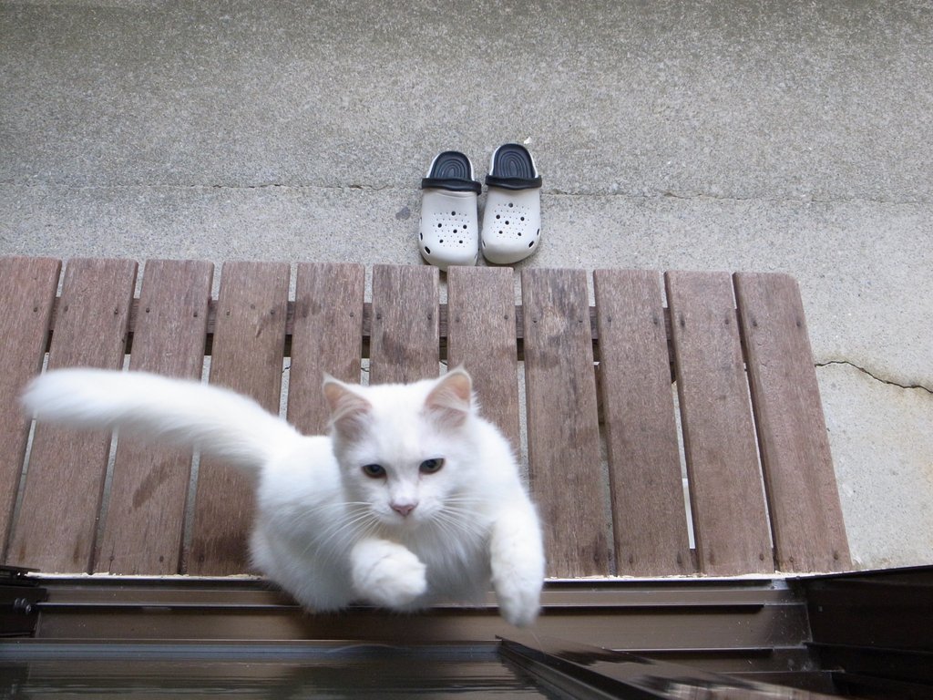 f:id:SQB:20150130140216j:image