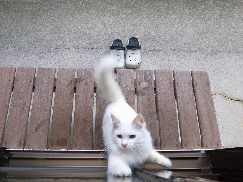 f:id:SQB:20150130140219j:image