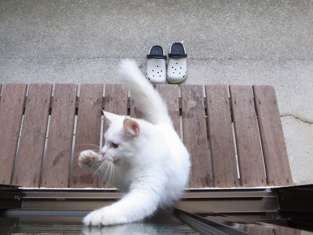 f:id:SQB:20150130140226j:image