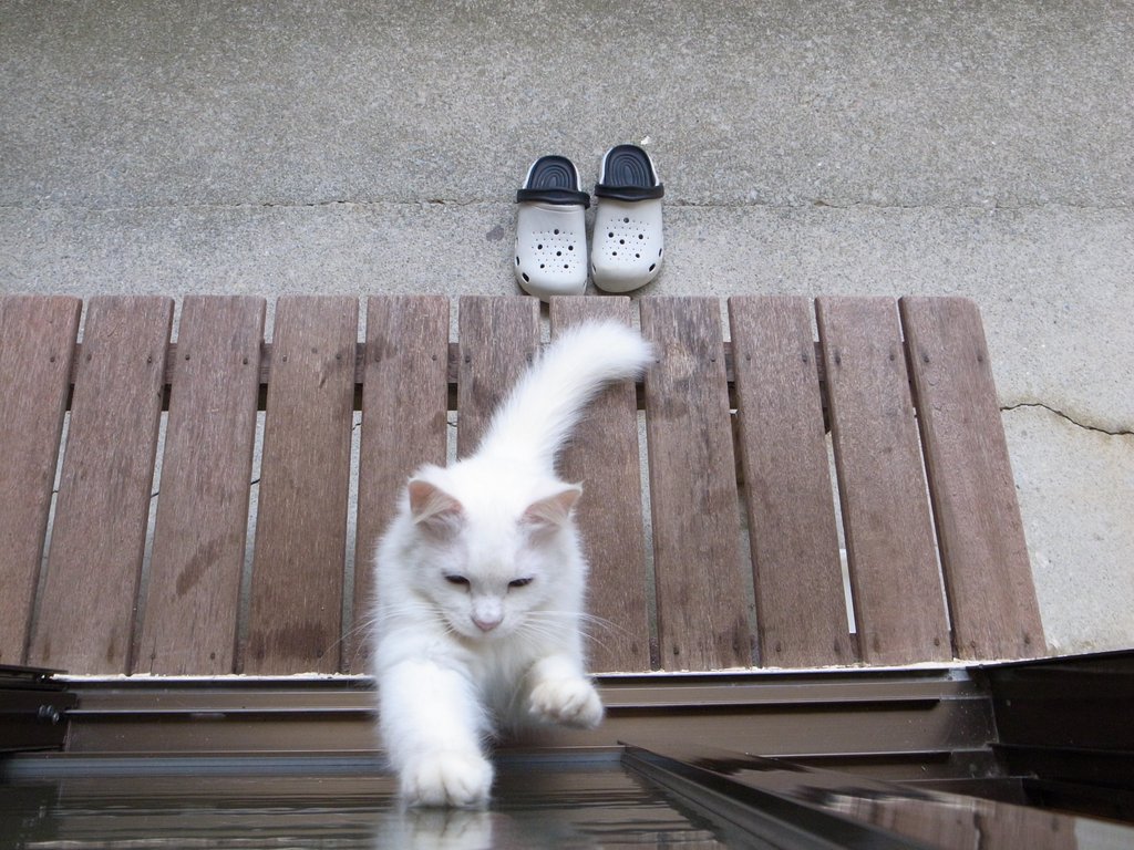 f:id:SQB:20150130140231j:image