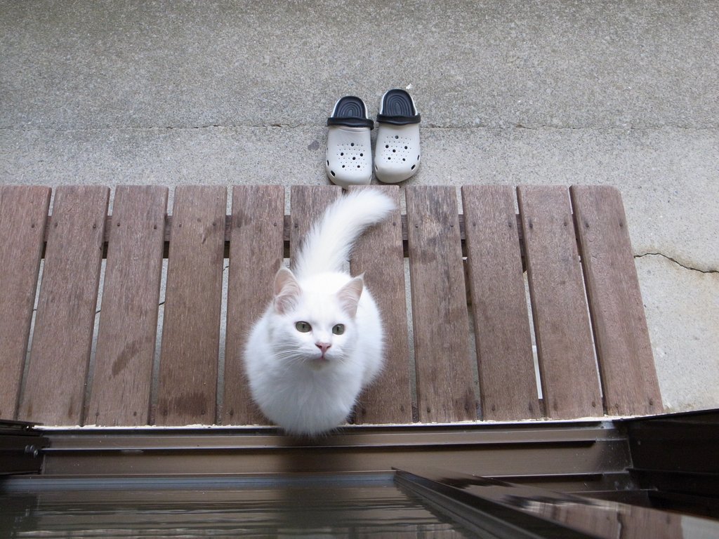 f:id:SQB:20150130140233j:image