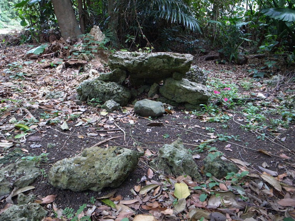 f:id:SQB:20150131194035j:image