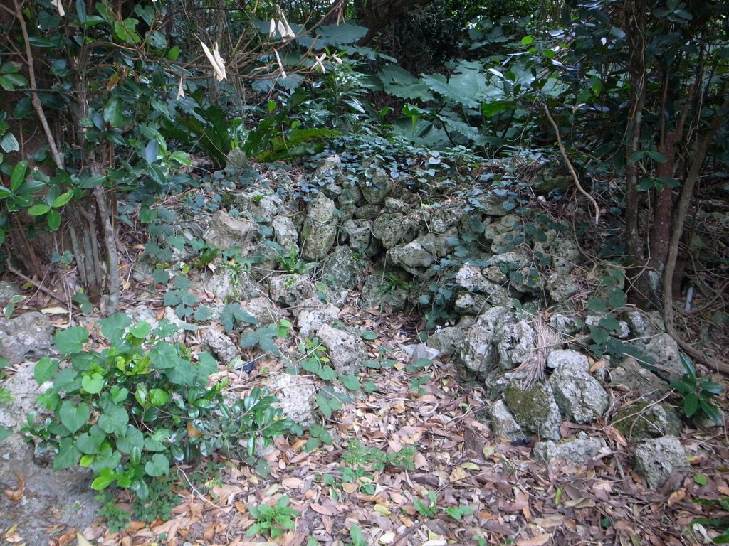f:id:SQB:20150131194038j:image