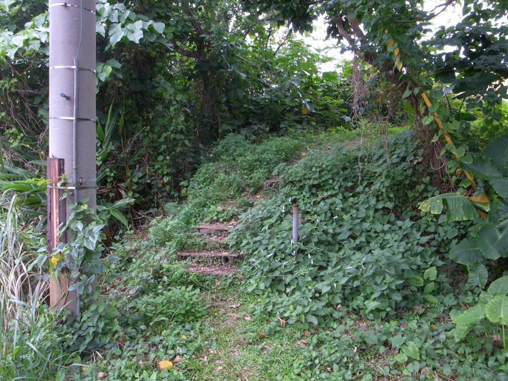 f:id:SQB:20150131200658j:image