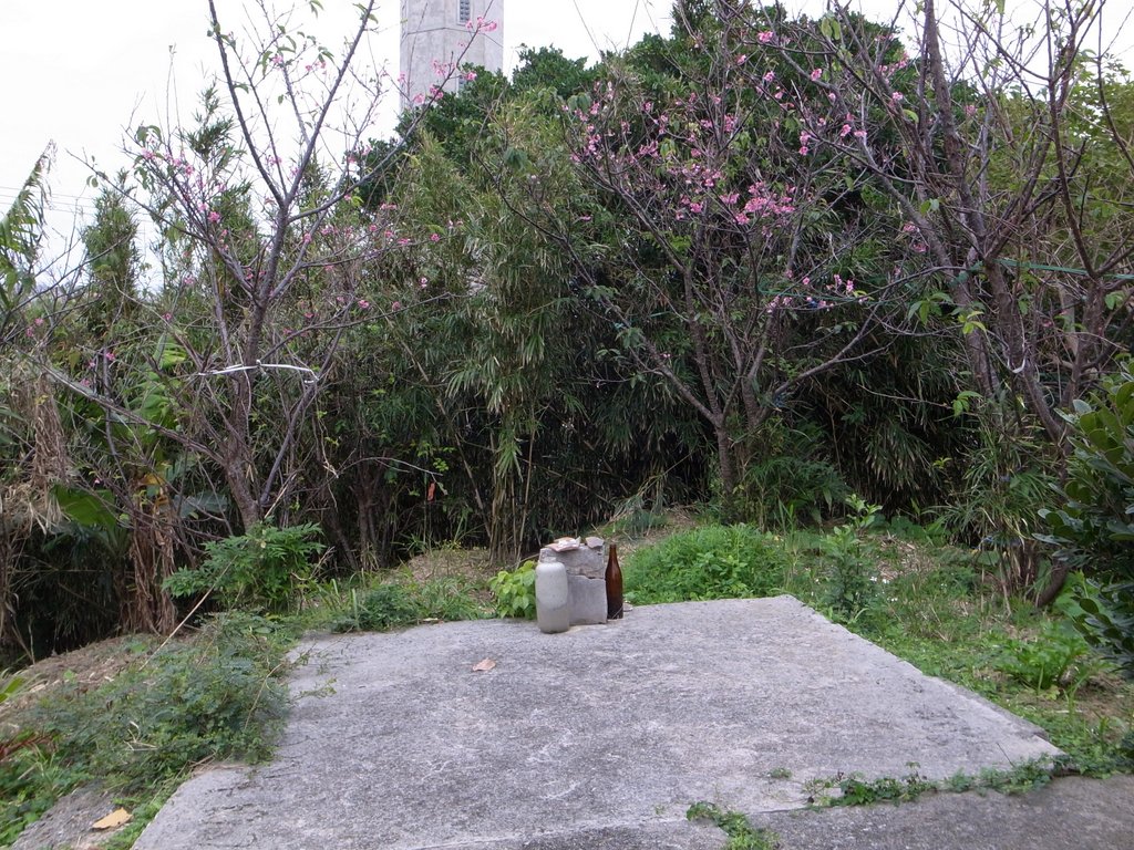 f:id:SQB:20150201191726j:image