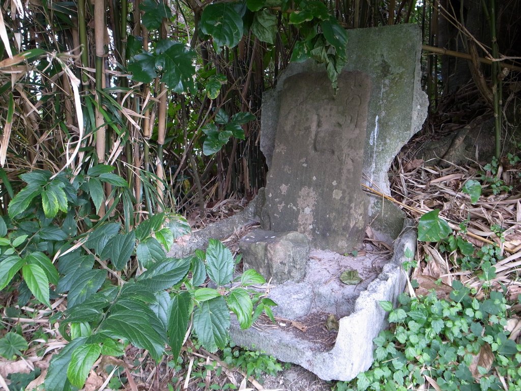 f:id:SQB:20150201192935j:image