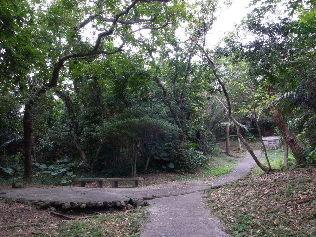 f:id:SQB:20150201192940j:image