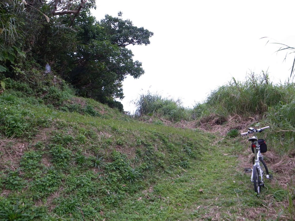f:id:SQB:20150201194609j:image