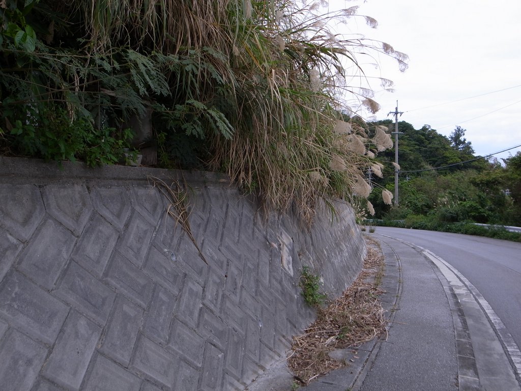 f:id:SQB:20150201195834j:image
