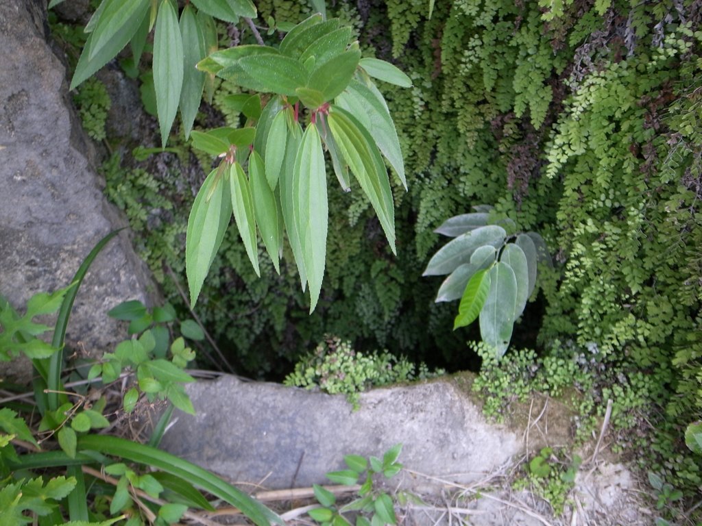 f:id:SQB:20150207210608j:image