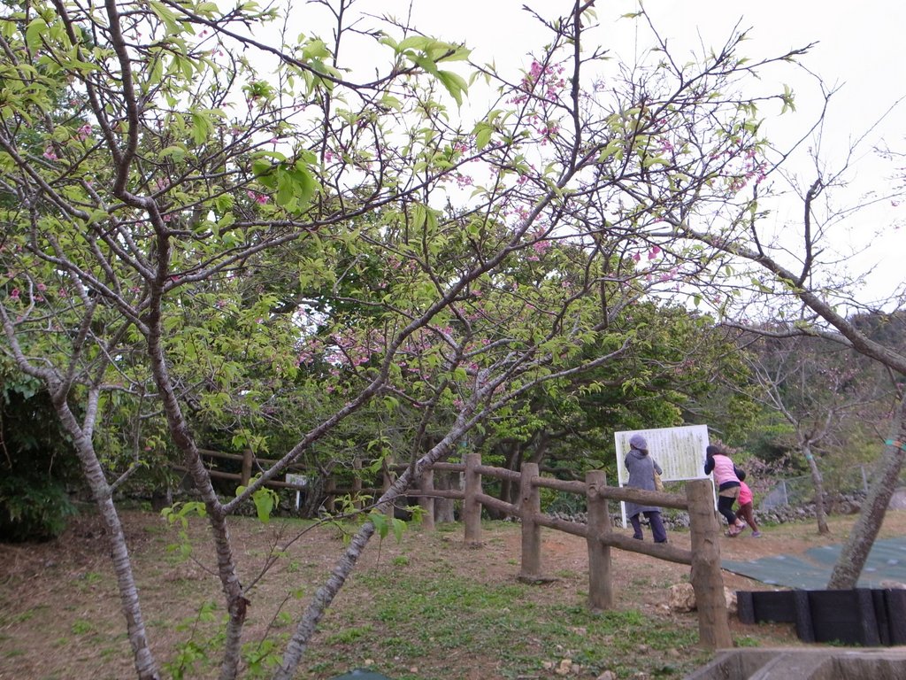 f:id:SQB:20150207212638j:image