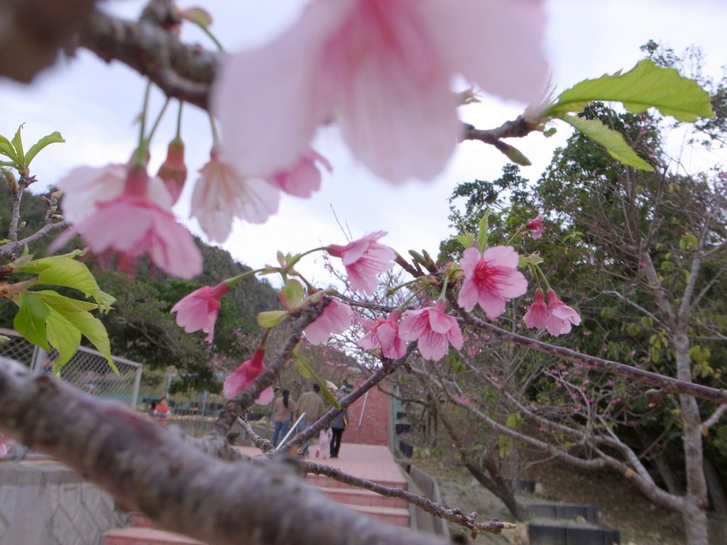 f:id:SQB:20150207212640j:image