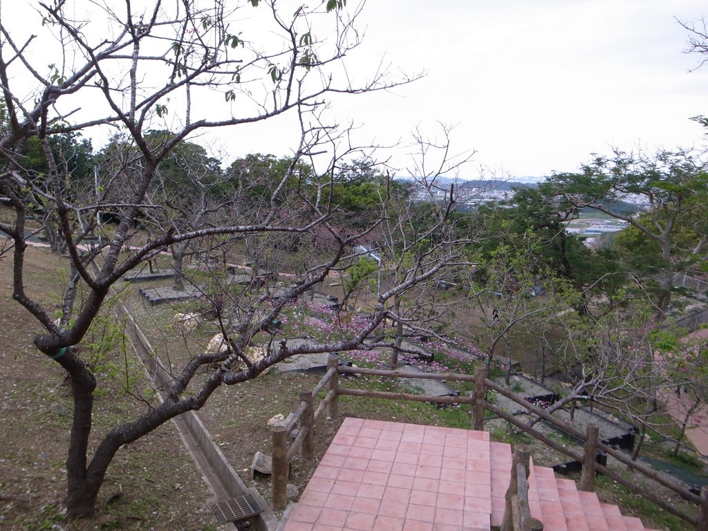 f:id:SQB:20150207212647j:image