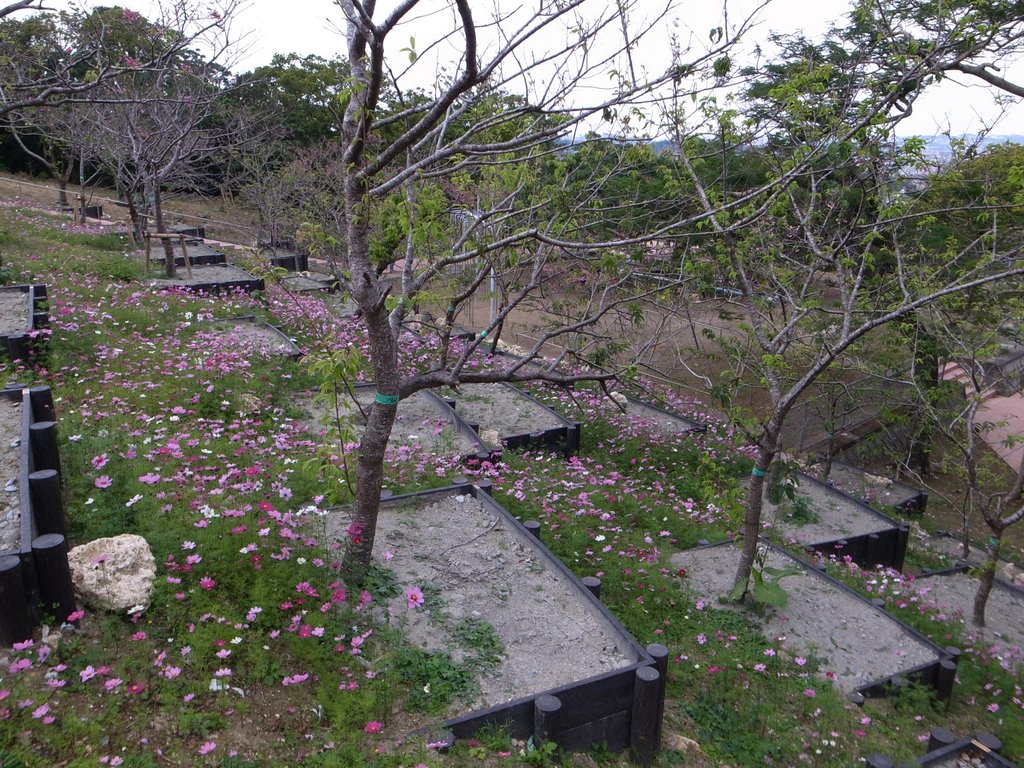 f:id:SQB:20150207212650j:image