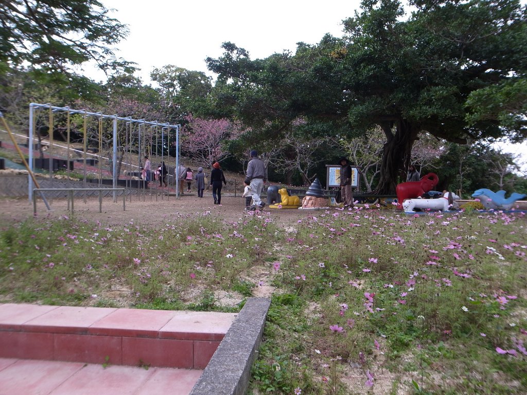 f:id:SQB:20150207212653j:image