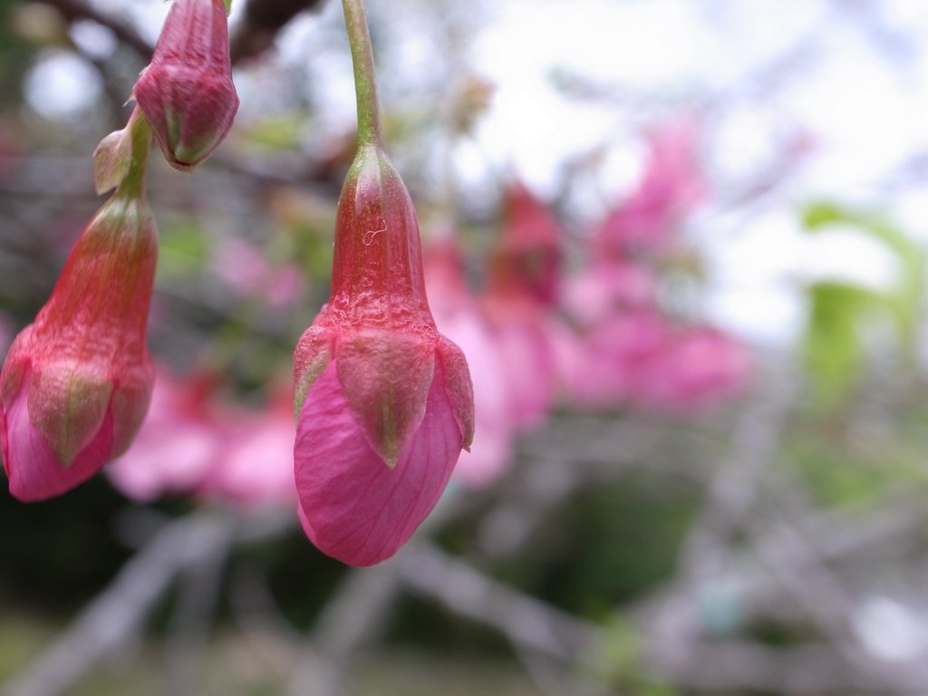 f:id:SQB:20150207212700j:image