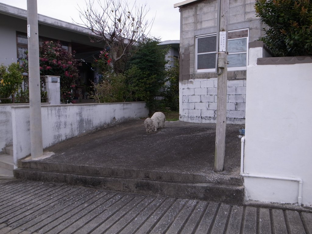 f:id:SQB:20150207215211j:image