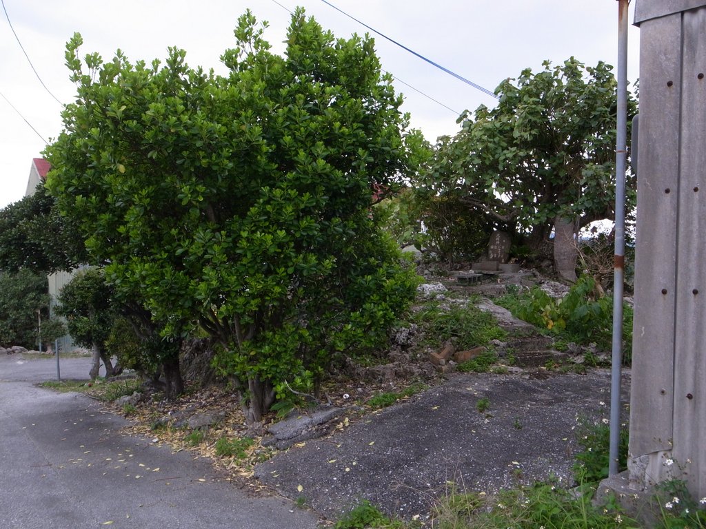 f:id:SQB:20150207215706j:image