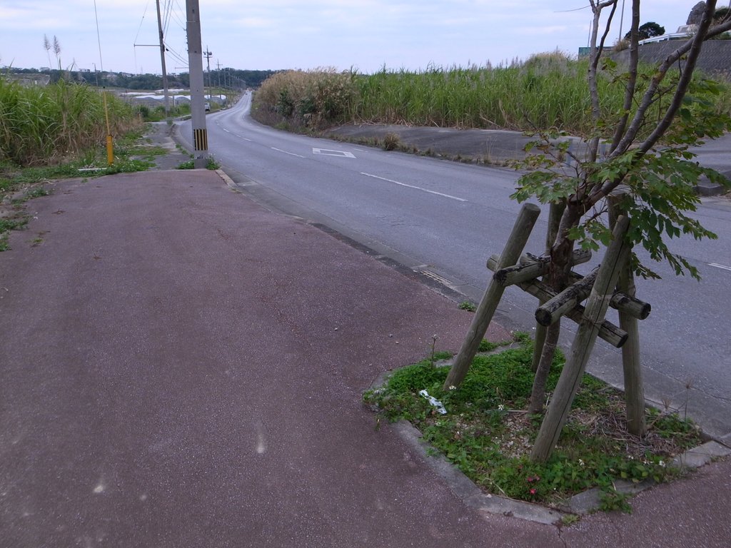 f:id:SQB:20150207220600j:image