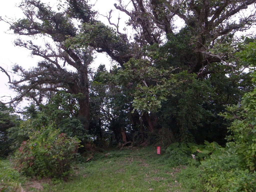 f:id:SQB:20150207221132j:image