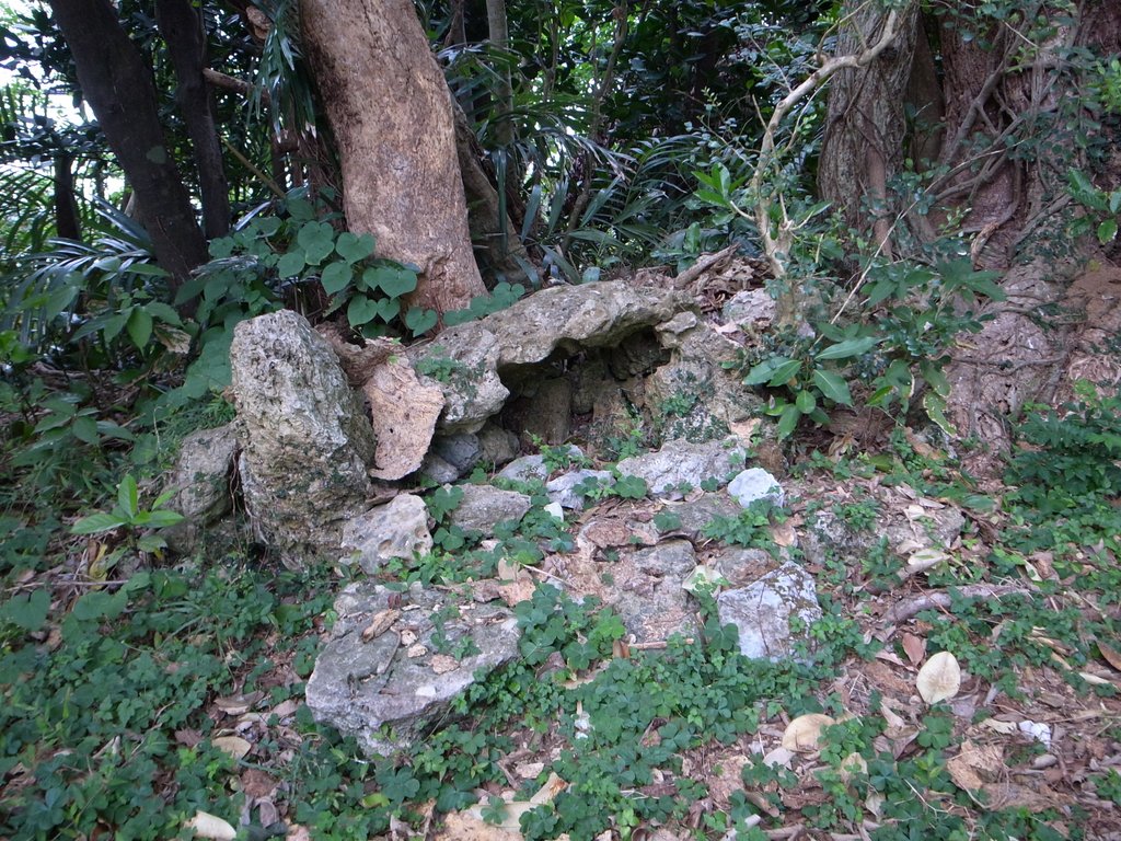 f:id:SQB:20150207221139j:image