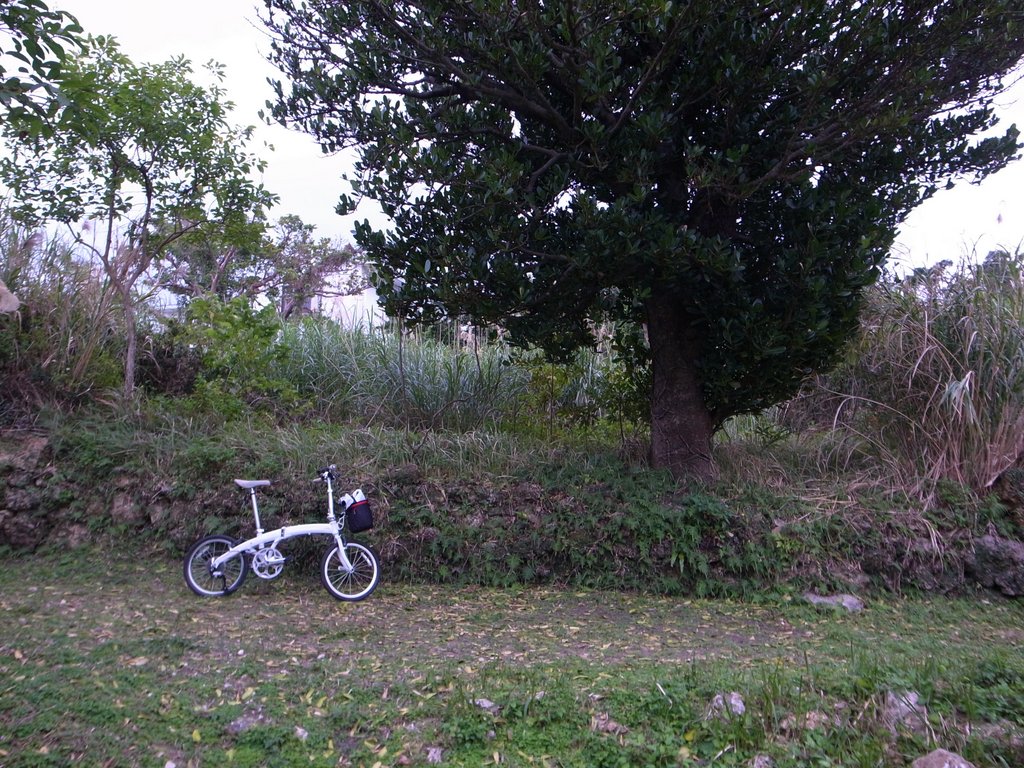 f:id:SQB:20150207221141j:image