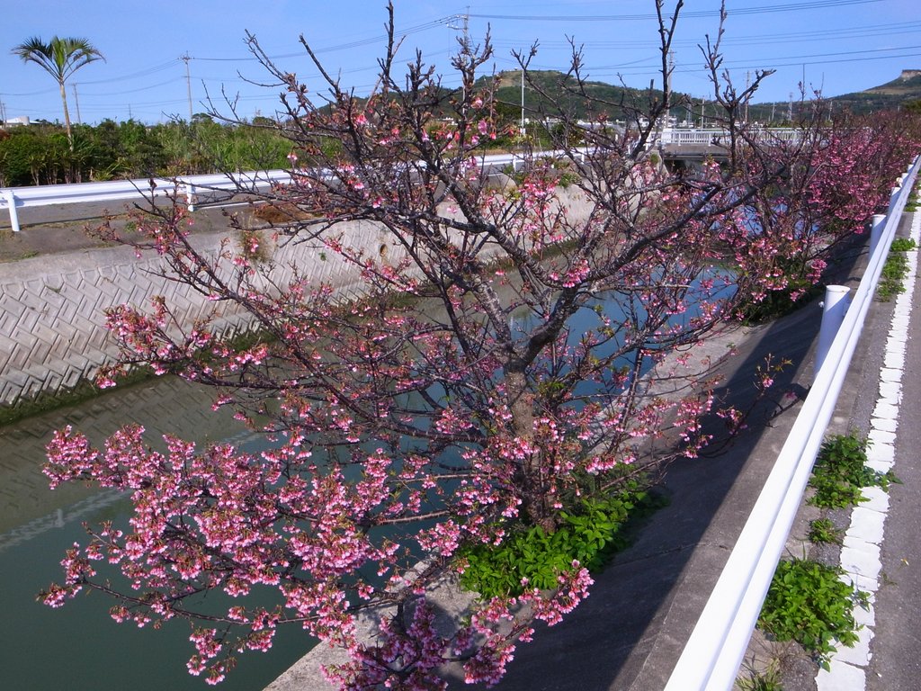 f:id:SQB:20150211185447j:image