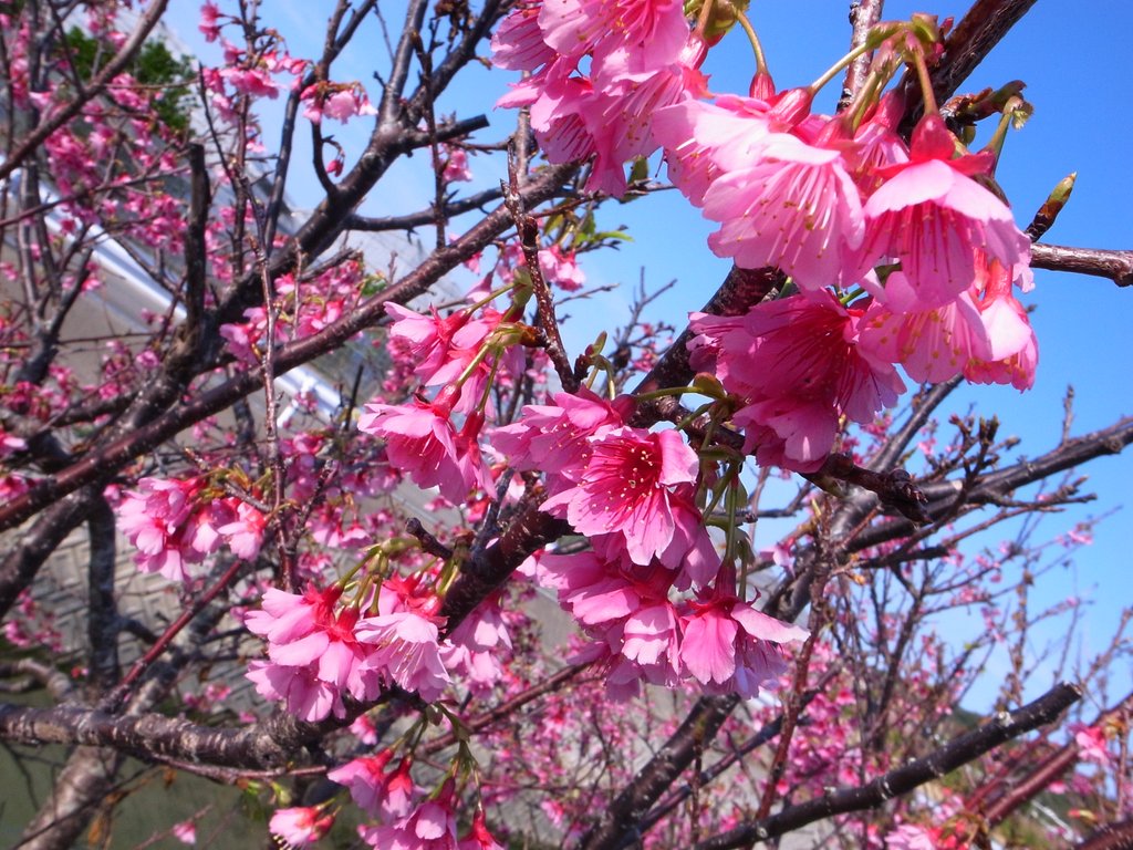 f:id:SQB:20150211185454j:image